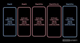 谷歌Pixel 9系列将全球首发三星M14 OLED面板：三星迄今为止最好显示屏