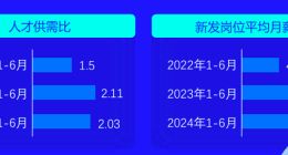 脉脉高聘：2024上半年新能源汽车行业新发岗位平均月薪42739元 同比下降