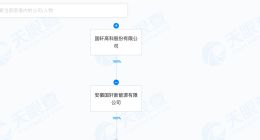 国轩高科在合肥成立储能公司 注册资本500万