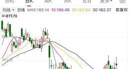 宁德时代陷“成长的烦恼”：营收下滑、百亿项目延期……