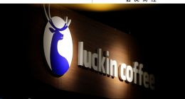 9.9的价格战，瑞幸没有停火权