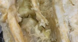 超四分之一投诉指向果品问题，百果园千元果品亦陷投诉风波？