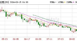 遭车主吐槽，被股民抛弃，极氪汽车出路在哪里？