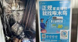 啄木鸟维修招股书“失效”，高抽佣助长“小病大治”？ | BUG