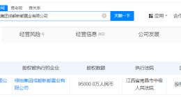 绿地成都置业公司所持9.5亿股权被冻结