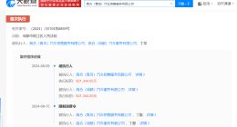 丁磊及高合旗下两公司再被限消