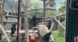 TechWeb一周热点汇总：“AI马斯克”视频泛滥，华为Mate 60系列降价