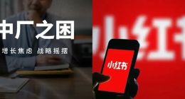 小红书的中厂之困：靠