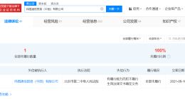 高端手机品牌纬图公司已成老赖 纬图手机品牌方已成老赖