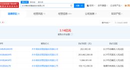 步步高投资集团等被强执2亿