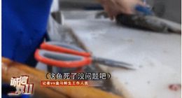 盒马被曝用死鱼掉包活鱼 品控问题突出上市还有戏吗