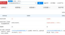 京东国际融资租赁公司增资至10亿