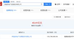 荣盛发展等被强执1.25亿