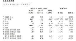 成立十周年，小鹏要做“六边形战士”
