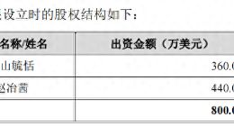 毓恬冠佳IPO：实控人家族控股近90%，外籍亲属代持惹官司，边分红边拆借资金