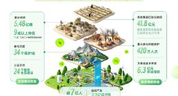 蚂蚁森林8年种树5.48亿棵 蚂蚁集团协议捐资已超40亿元