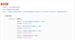 荣盛发展等被强制执行5.7亿