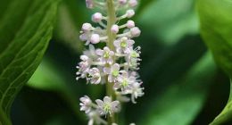 盛京银行营收、利润双降下的负重难行，症结在哪儿？