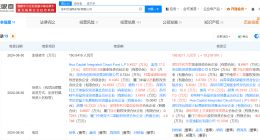 比亚迪入股芯源新材料 后者为半导体封装材料研发商