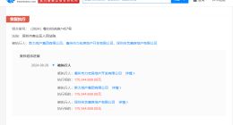 新力地产等被强制执行1.7亿