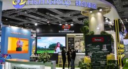 健合集团纯利减半中国市场收入降10.5% 因质量问题频遭投诉