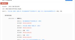 王文银及正威集团等被强执3亿