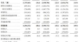 哪吒汽车CFO陈睿被传离职，前高盛（亚洲）董事总经理潘登接替职位