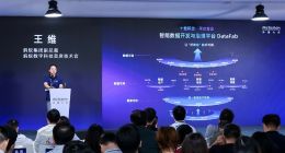 蚂蚁数科CTO王维：融合技术创新是数据要素价值释放的基石