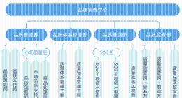 ESG年报解读｜抽查多次不合格，子公司召回电动车，爱玛质量并非“高枕无忧”