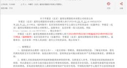 国产芯片企业华夏芯破产清算：域名等资产被公开拍卖