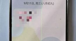 多名用户称三星手机屏幕出现绿线 客服：只能付费维修