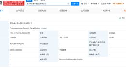 普华永道商业版图盘点 对普华永道开出顶格罚单