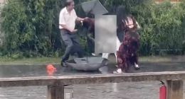 苏州见义勇为的碎花裙小姐姐找到了？平台：还在核实身份