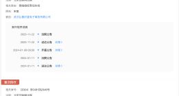 侵权宋轶商家被强执5.5万 电商公司侵权宋轶被强制执行