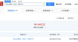 佳兆业等被强制执行3亿