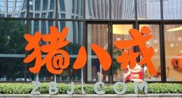 猪八戒网危机四伏：拖欠薪酬、IPO三连败，投资人索赔！