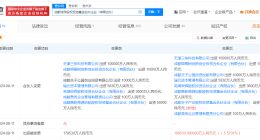 美团旗下成都龙珠股权基金增资至18.95亿