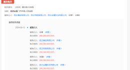 西王集团等被强制执行2.66亿