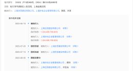 上海世茂建设等被强执14.6亿