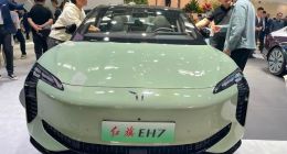 高增长放缓，“红旗神话”不再？