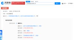 泛海控股及卢志强等被强执37亿