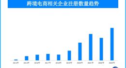 海淘中国货成新趋势 超2万家跨境电商相关企业助力跑出加速度
