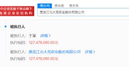 北大荒等被恢复执行1.27亿