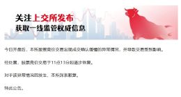 上交所：对于股票竞价交易异常情况的发生，深表歉意