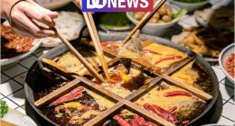 业绩失速、闭店增多，锅圈正被“抛弃”？