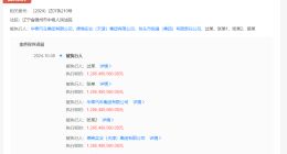 华泰汽车等被强制执行12.9亿