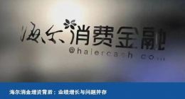 海尔消金增资背后：业绩增长与问题并存