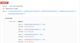 绿地集团西安置业公司等被强执3.9亿