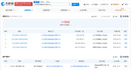 步步高母公司被申请破产审查