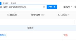 丁磊任华人运通动力电池系统公司董事长